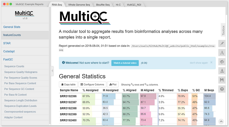 [NGS QC] MultiQC BioinformaticsAndMe