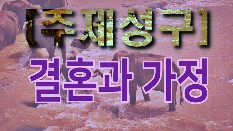 [주제성구] 행복한 가정을 위한 성경구절