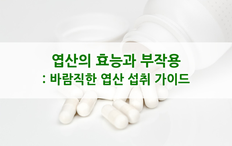 엽산의 효능과 부작용 : 바람직한 엽산의 섭취 가이드