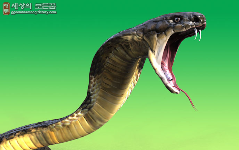 뱀한테 잡아 먹힌 꿈 a dream eaten by a snake
