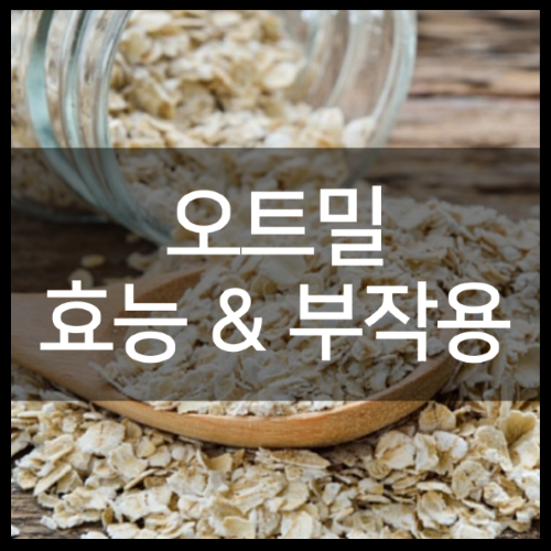 오트밀 효능 및 맛있게 먹는법부터 다이어트 알아보기