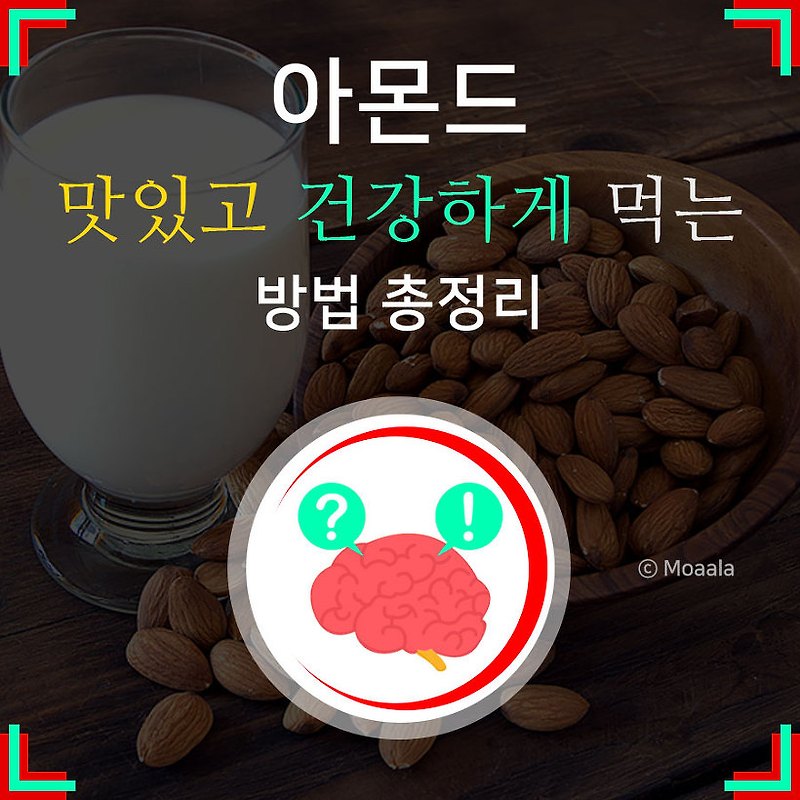 구운 아몬드 효능 총정리 (건강, 다이어트 효과)