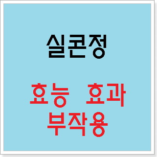 실콘정 효능 효과, 부작용 알고 사용하시나요? :: 느리게 즐기면서 꾸준히