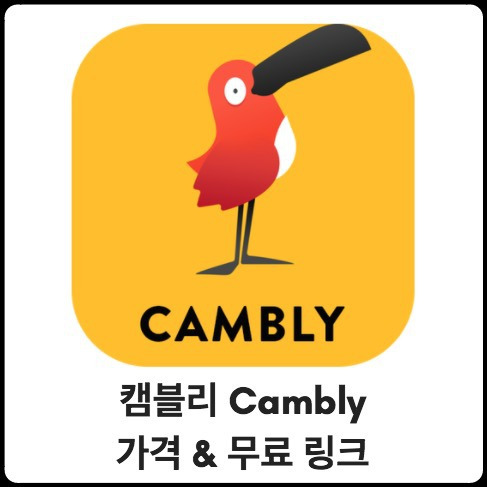 [전화영어] Cambly 캠블리 가격 공개 (할인 무료 링크)