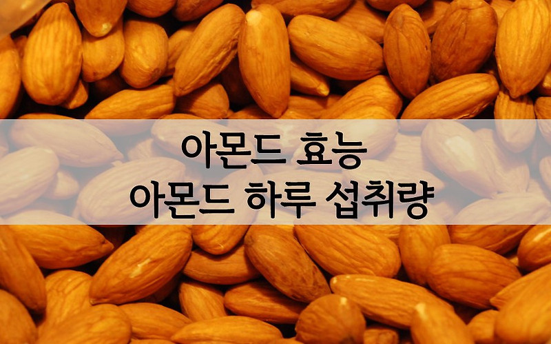 아몬드 효능 하루 섭취량 몇개가 좋을까 :: 염탱이