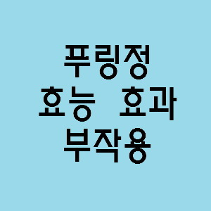 푸링정 효능 효과, 부작용 알고 사용하시나요? :: 느리게 즐기면서 꾸준히