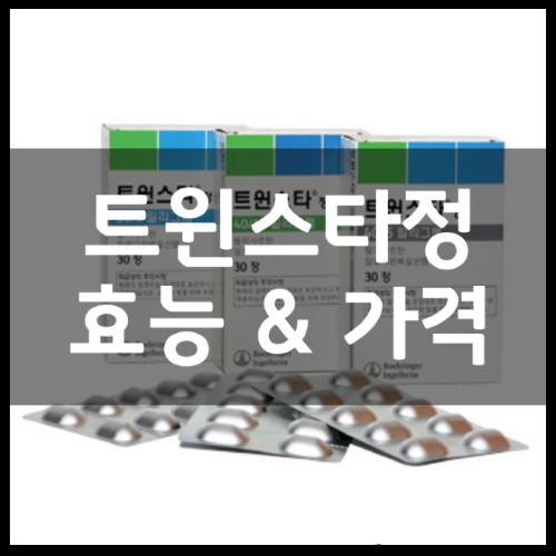 트윈스타정 40/5mg 80/5mg 효능 및 가격 정리