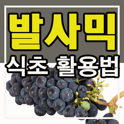 발사믹식초 활용법, 10만 원짜리 귀하신 몸 제대로 활용하기