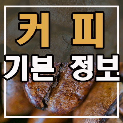 커피 기본 상식-원두 커피 종류 및 내리는 방법, 베리에이션까지