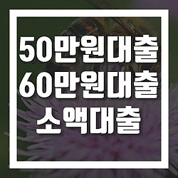 30만원이나 50만원의 소액이 필요한 경우 대출정보는 10