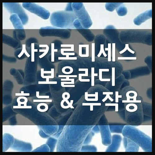 사카로미세스 보울라디 효능 및 부작용부터 가격 정리