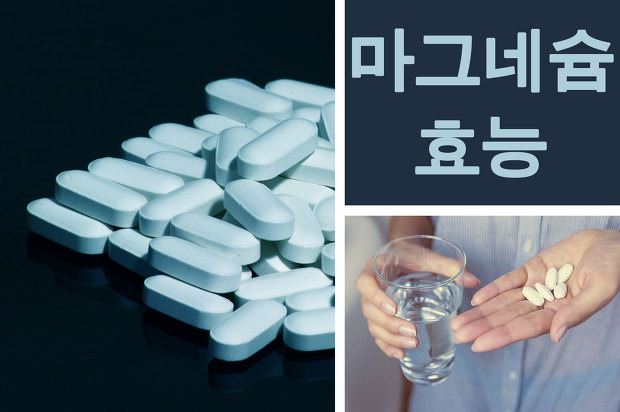 마그네슘 효능, 부족 증상, 부작용, 권장량, 많은 음식 | 효능백과