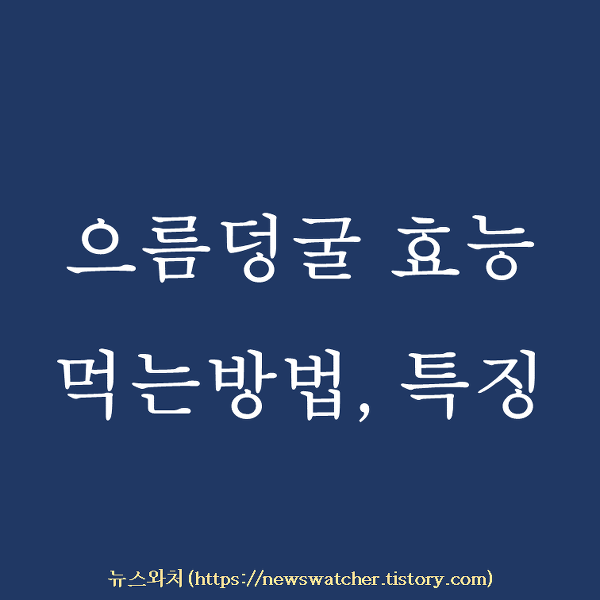 으름덩굴 효능, 특징, 먹는방법 :: 뉴스와쳐