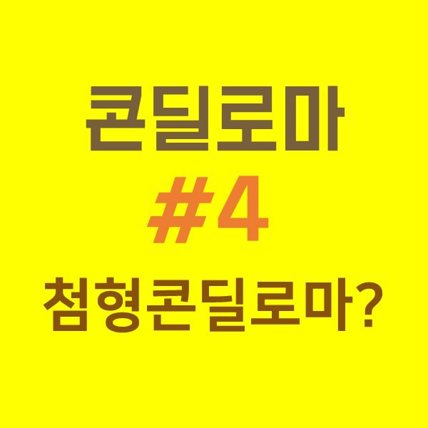 콘딜로마 #4 첨형 콘딜로마