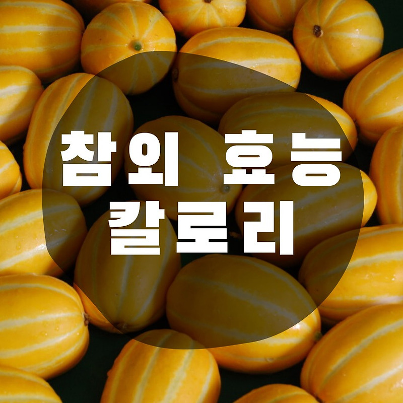 참외 효능 5가지와 칼로리는? 다이어트로 딱이야~!