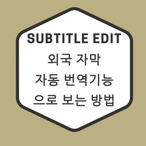 Subtitle Edit 로 외국자막을 한글자막으로 자동번역해서 보는 방법