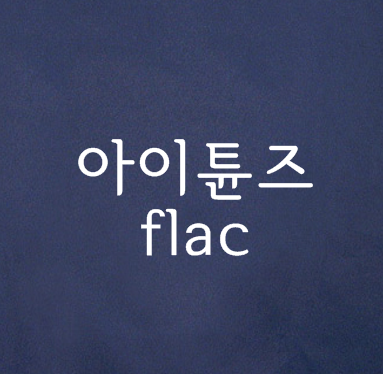 아이튠즈 flac 재생 방법 :: 오늘의 이야기