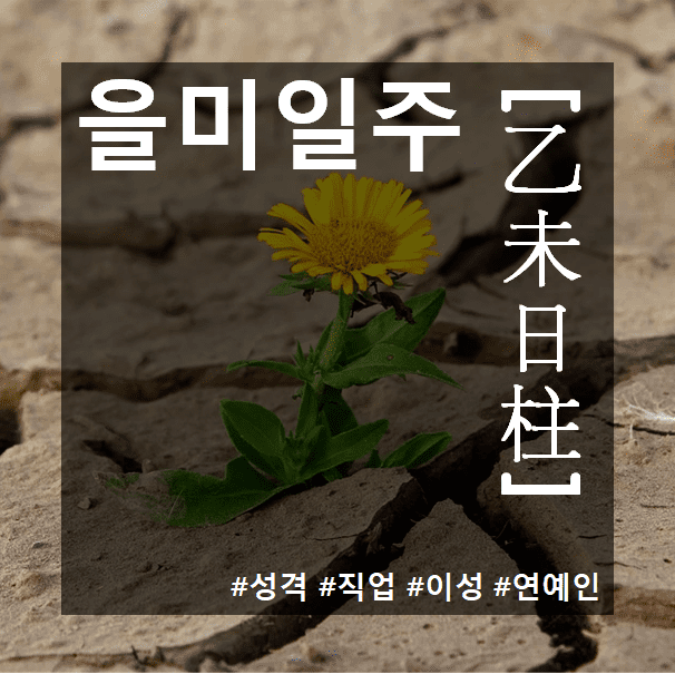 을미일주(乙未日柱) 사주 성격 및 특성