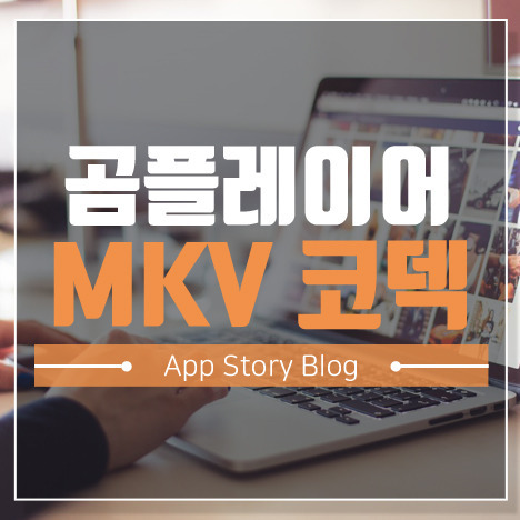 곰플레이어 MKV 코덱 오류 났을 때 해결방법