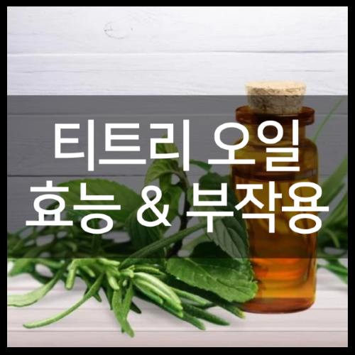 티트리오일 효능 및 파는곳부터 사용법 정리