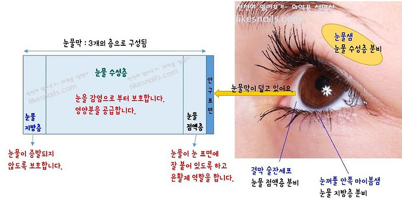 안구건조증이 있을 수 있습니다.