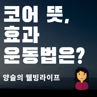 코어 뜻, 초보자가 따라하기 쉬운 자세 알려드립니다. :: 양슬의 웰빙 라이프