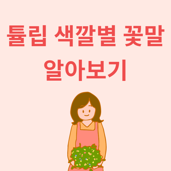 분홍튤립 꽃말 및 색깔별 의미 알아보기 :: 학습플래너 아진쌤