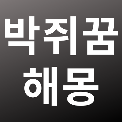 박쥐꿈 해몽 정리!