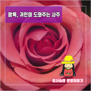 암록(暗祿), 특별한 기회를 얻고 귀인이 도와주는 운명