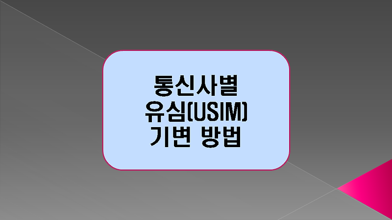 통신사별 스마트폰 유심(USIM) 기변 방법(SKT, KT, LG U+)