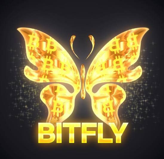 Bitfly