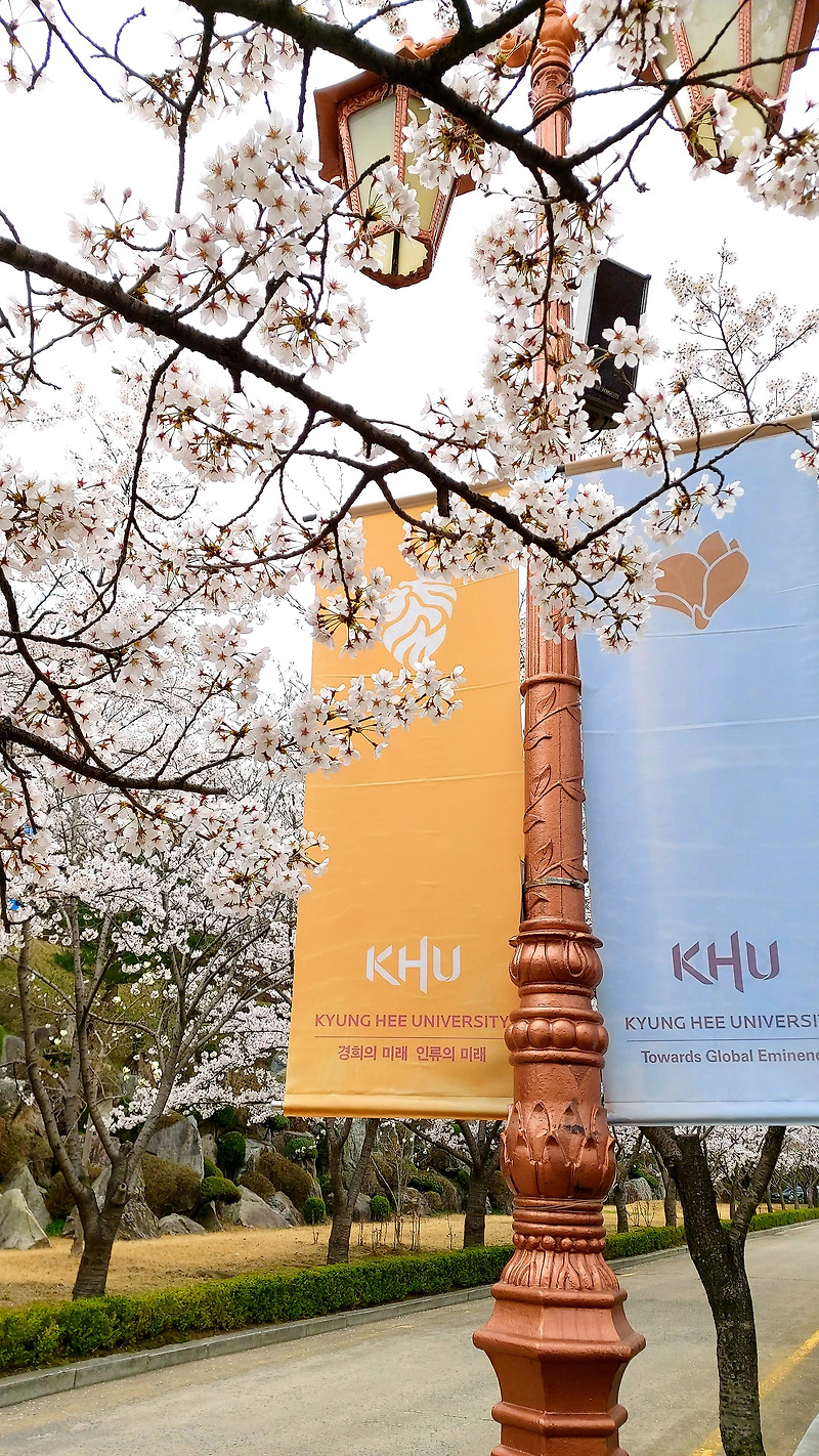 구구의 인생책방