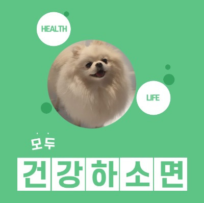 ?scode=mtistory2&fname=https%3A%2F%2Ftistory1.daumcdn