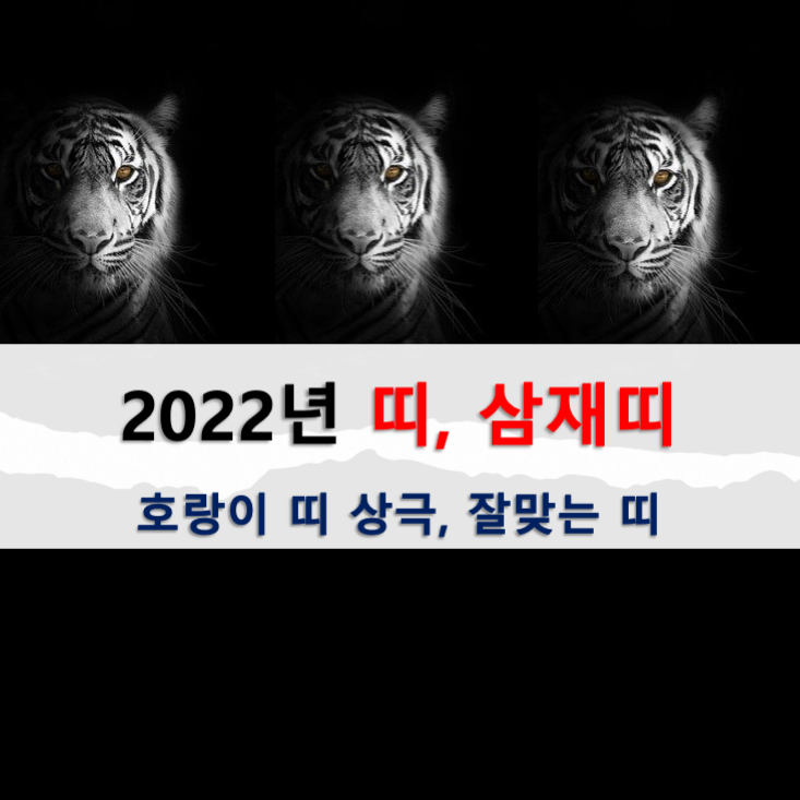 2022년 띠, 삼재띠 : 임인년 호랑이띠, 흑호해, 검은 호랑이 (feat. 2023년 삼재, 띠 정보)