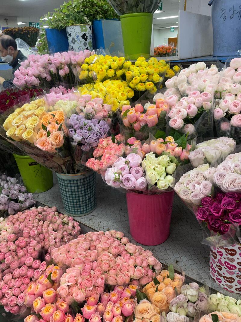 고속터미널 꽃시장 (운영시간/ 카드결제/ 일요일 운영 여부)