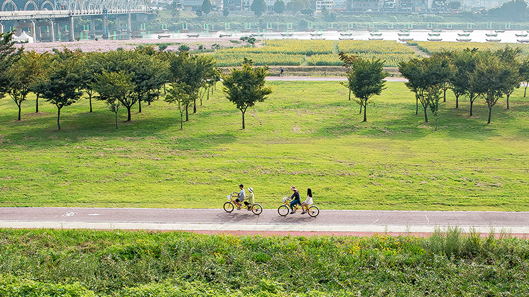 공공자전거로 여행하기 좋은 도시 추천 5곳