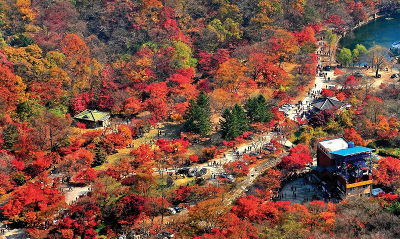 [가을여행 가이드]내장산 : 한국의 아름다운 자연을 만끽하다!!