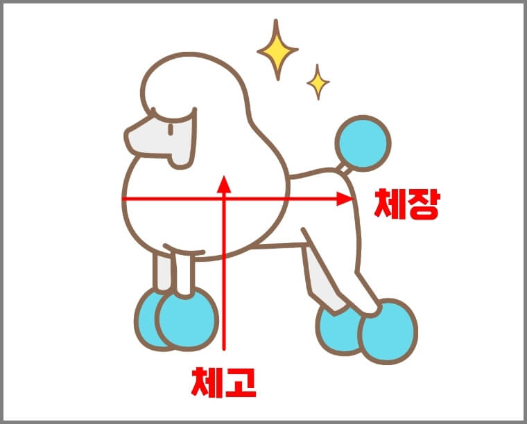 강아지 크기 몸무게와 체고(키)로 구분 기준