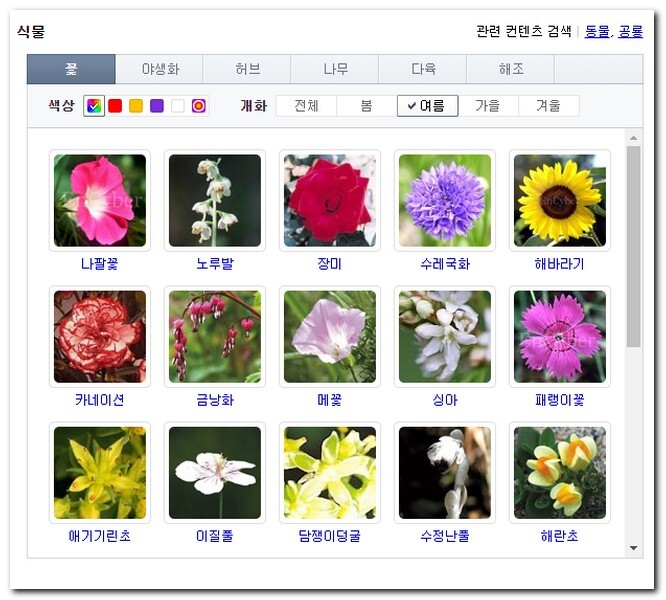 사진으로 꽃이름 찾기 버섯 여름꽃종류