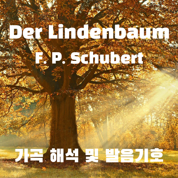 [독일 가곡]Der Lindenbaum(보리수) Op.89 No.5 - Franz Peter Schubert