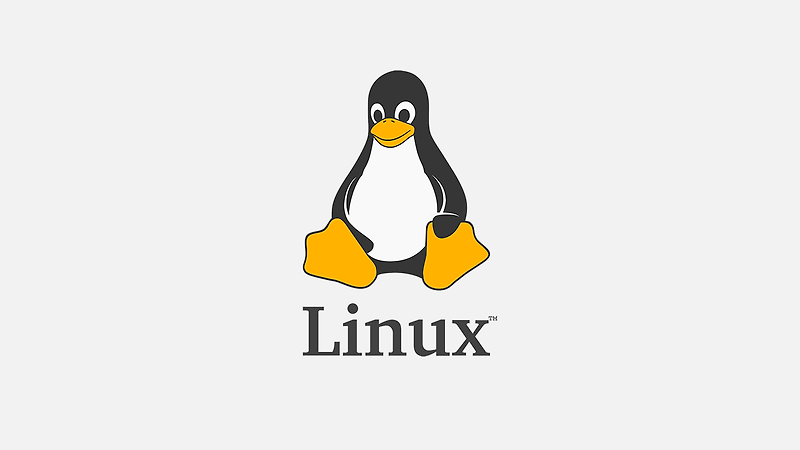 [Linux] 리눅스 현재 경로 표시 pwd 명령어 사용법