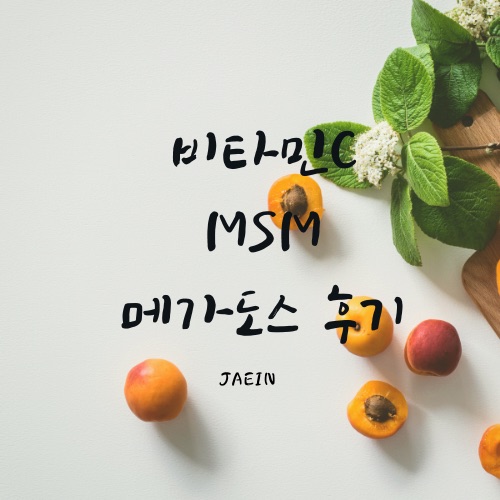비타민C + MSM 메가도스 3개월 후기 :: 88 89 16