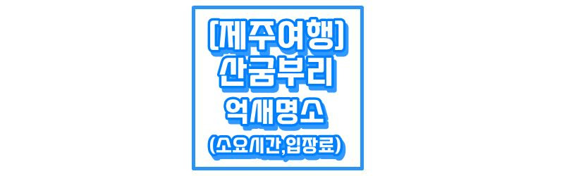 [제주 여행] 산굼부리 (소요시간, 입장료, 억새)