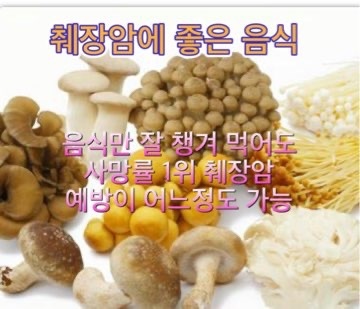 췌장암 에 좋은음식 버섯 약초 과일 및 예방 방법