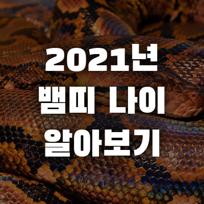 2021년 뱀띠 나이 몇 살일까?