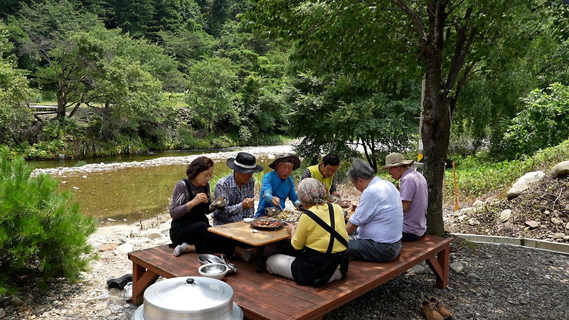 한국인의밥상 양양 황룡마을 계곡 - 얼음골, 1급수 계곡, 도리뱅뱅, 산당귀더덕백숙 보양식