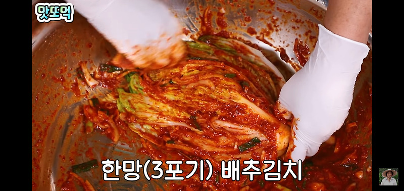 배추김치 맛있게 담는법 :: 올해 김장 이걸로 끝!