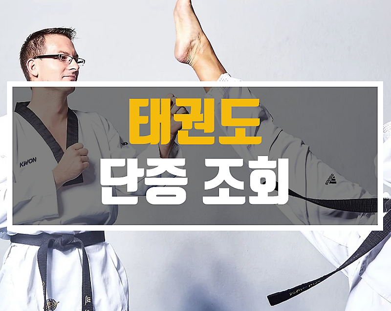 태권도 단증 조회 방법