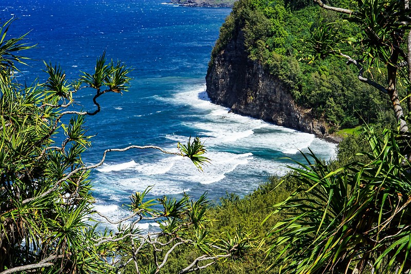 우뚝솟은 화산 무성한 열대우림 청정해변 하와이 빅아일랜드