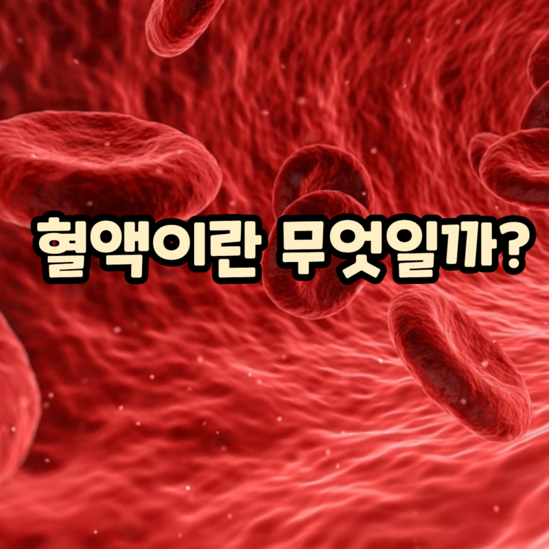 혈액이 뭐야?